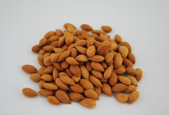 Pestki moreli z Turcji 1 kg - zdjęcie 1