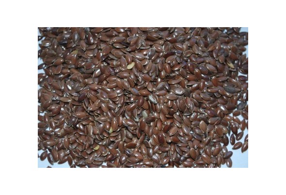 Siemię lniane 5 kg - zdjęcie 1