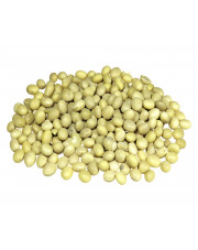 Soja BEZ GMO