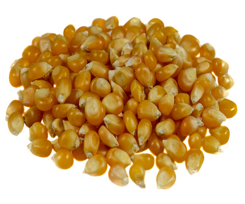 Ziarno kukurydzy (popcorn)