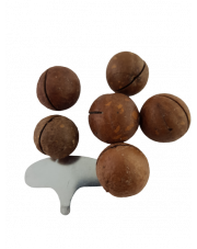 Orzechy macadamia w łupinie, prażone z kluczem do otwierania