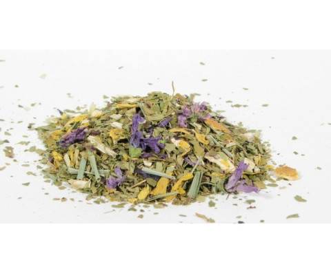 Yerba Mate owoce cytrusowe