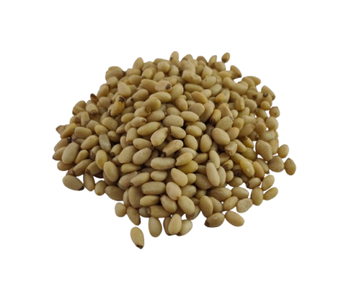 Orzechy pinii YUNNAN