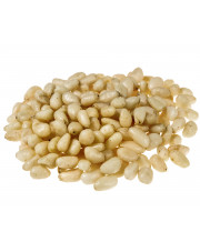 Orzechy pinii YUNNAN