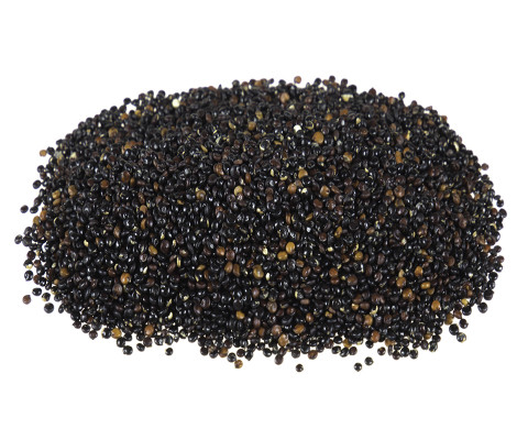 Quinoa czarna- Komosa Ryżowa czarna