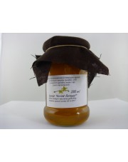 Syrop z kwiatu forsycji 280ml