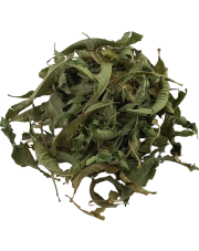 Werbena cytrynowa suszona