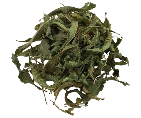 Werbena cytrynowa suszona